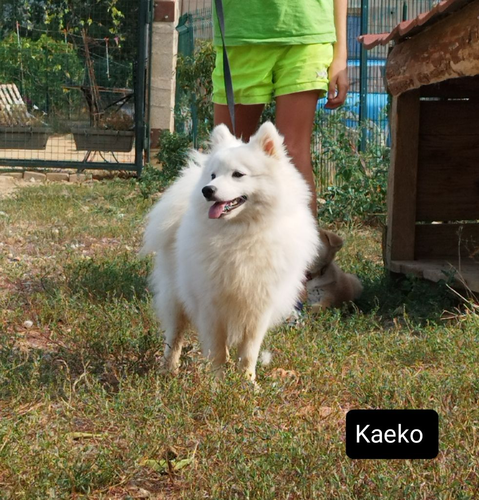 (union sacrée) kaeko Of Fantasia Lover Land